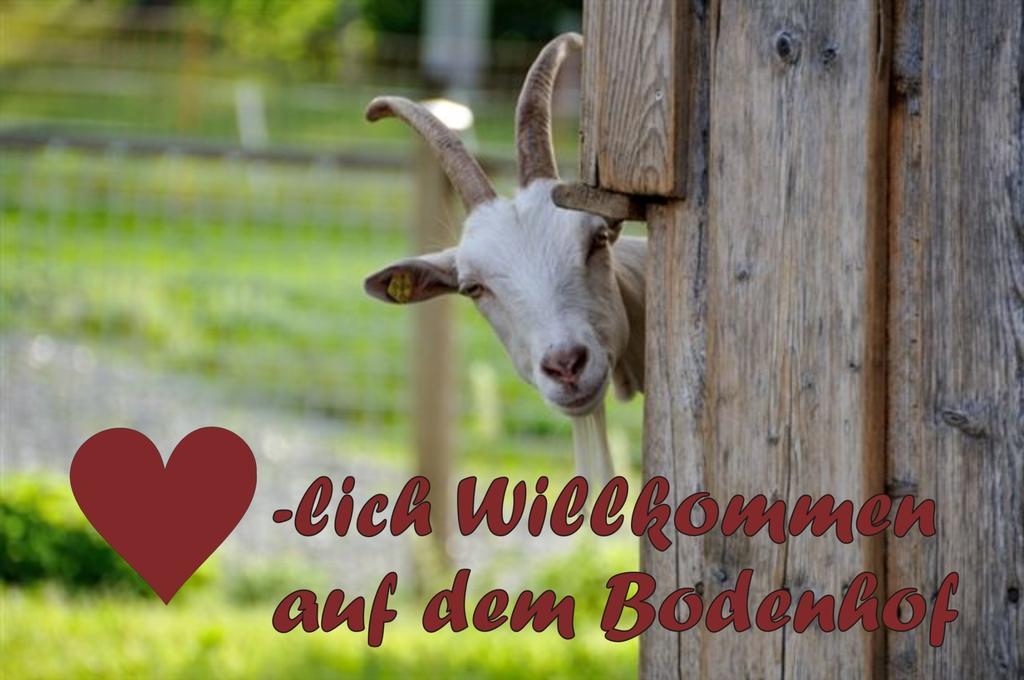 Bodenhof Ferienwohnungen Fieberbrunn Exteriör bild