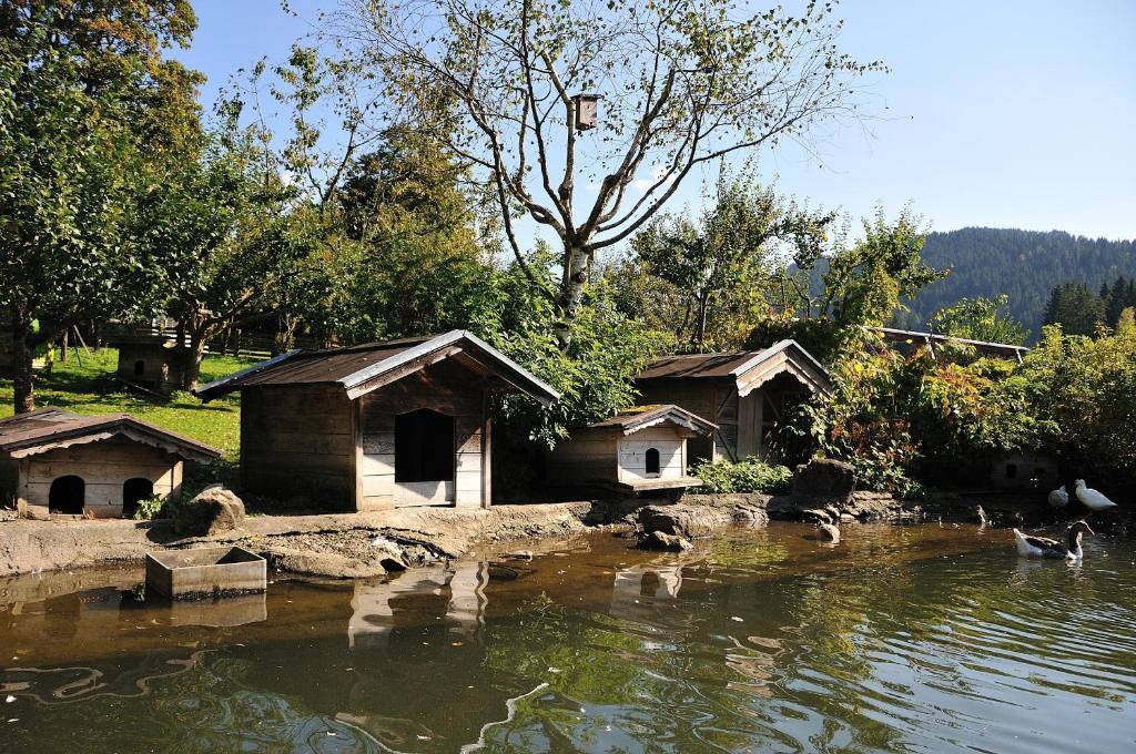 Bodenhof Ferienwohnungen Fieberbrunn Exteriör bild